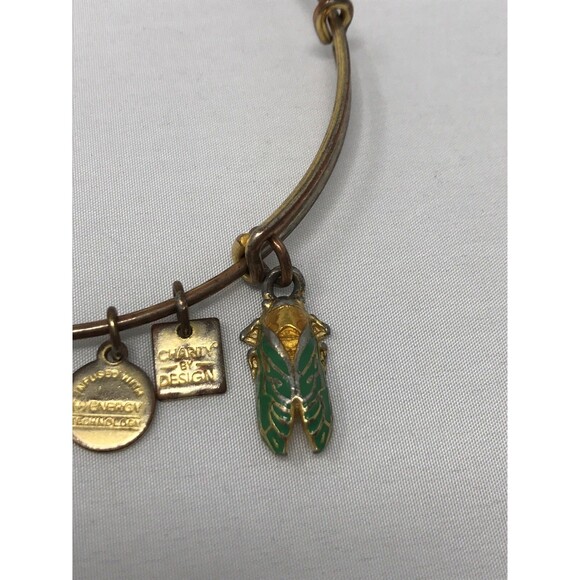 Alex and Ani Charity by Design Grasshopper Charm Bangle Bracelet - Picture 4 of 6
